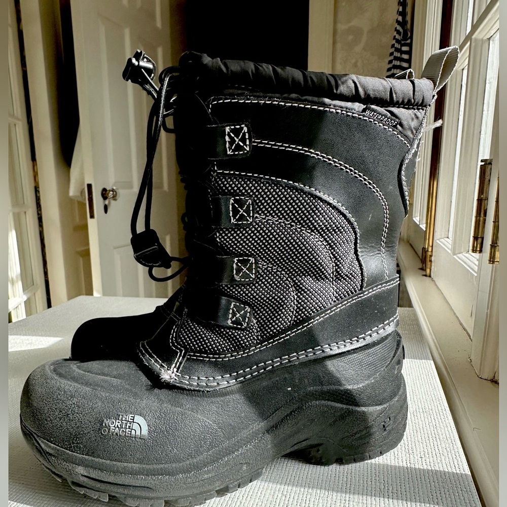The North Face Alpenflow IV Boots